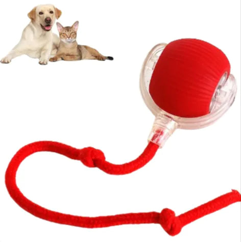 Zippy Tail®